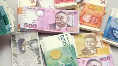 Zakon.kz, фото - Новости Zakon.kz от 26.08.2015 21:19