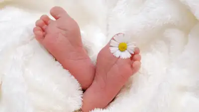 Pixabay, фото - Новости Zakon.kz от 10.04.2020 13:47