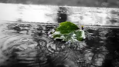 Pixabay, фото - Новости Zakon.kz от 08.09.2021 21:28