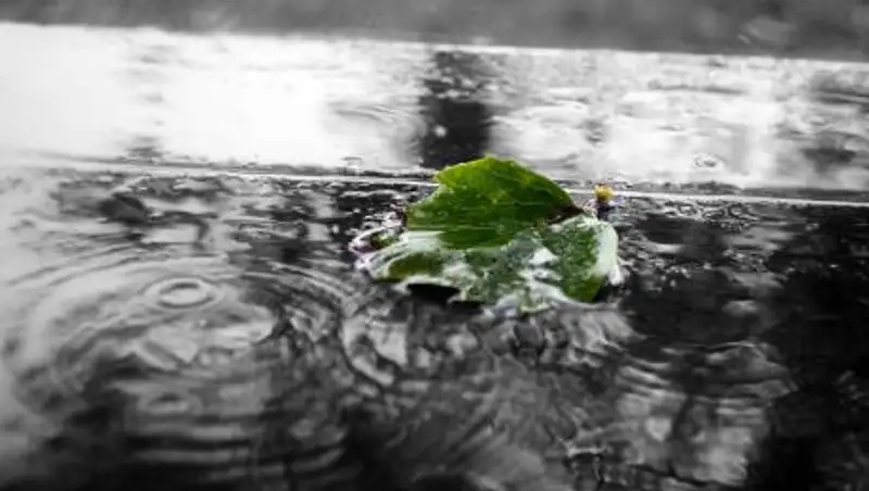 Грозы и туман – в 7 регионах Казахстана объявлено штормовое предупреждение