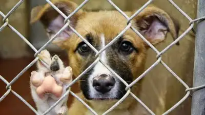 Zakon.kz, фото - Новости Zakon.kz от 05.09.2017 11:17