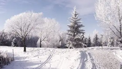 Фото: bryansktoday.ru, фото - Новости Zakon.kz от 04.12.2017 11:07