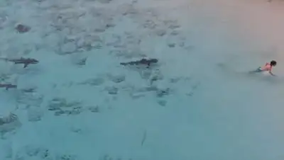 Zakon.kz, фото - Новости Zakon.kz от 05.01.2018 11:13