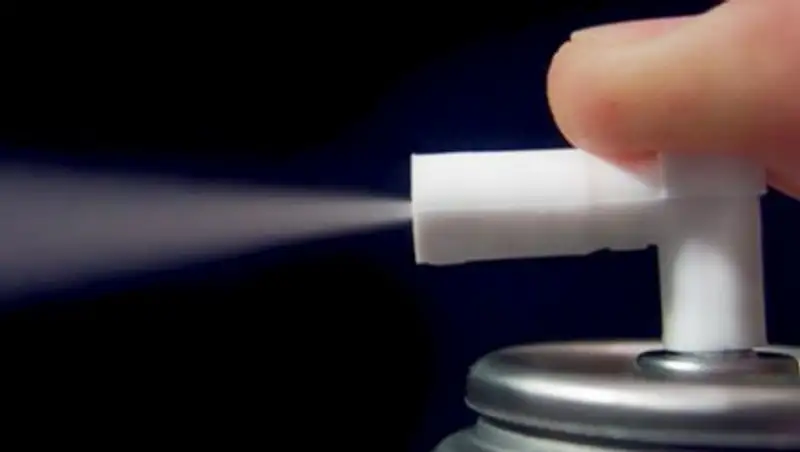 В России дама ударила ногой ребенка и прыснула баллончиком в его мать