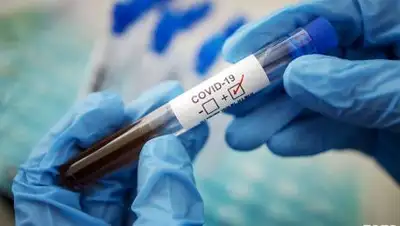 Лада, фото - Новости Zakon.kz от 21.10.2020 16:56