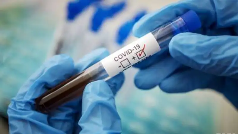 250 школьников заразились коронавирусом с начала учебного года