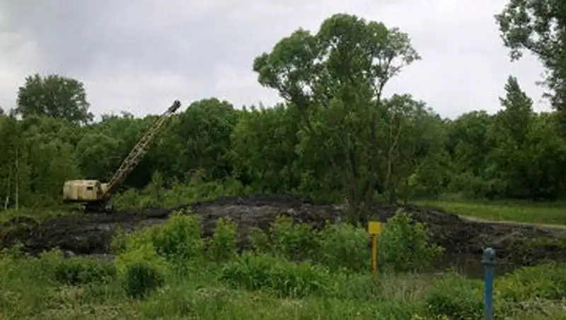 В Таразе вырубают рощу для строительства АЗС