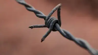 pexels.com, фото - Новости Zakon.kz от 12.02.2021 17:37