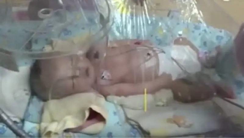 В Китае собака спасла похороненного заживо младенца