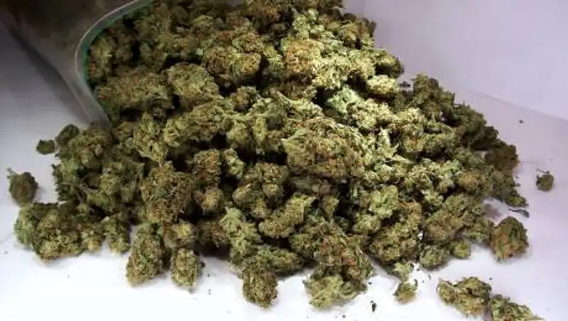 За первый месяц года полицейские изъяли 340 кг наркотиков