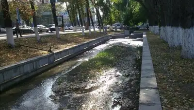 yvision.kz, фото - Новости Zakon.kz от 19.07.2018 10:10