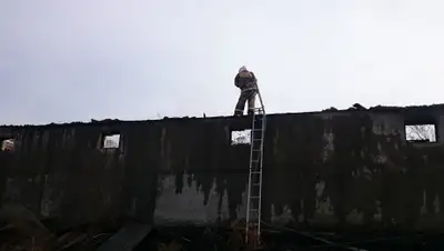 Zakon.kz, фото - Новости Zakon.kz от 03.12.2015 16:55