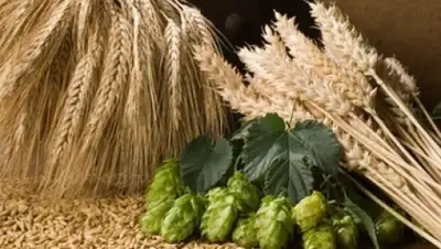 Zakon.kz, фото - Новости Zakon.kz от 02.12.2015 19:27