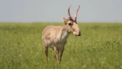 Zakon.kz, фото - Новости Zakon.kz от 27.11.2014 02:55