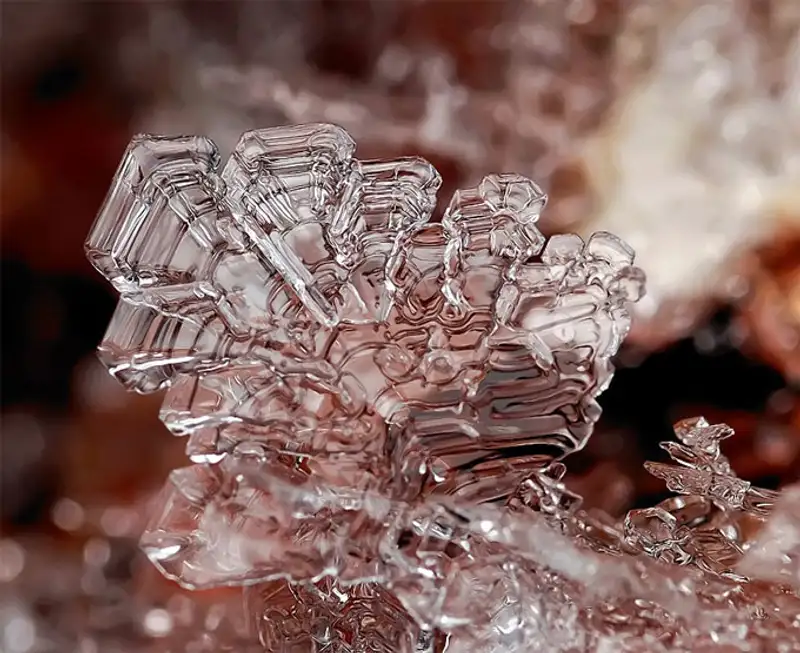 Снежинки. Фотограф Андрей Осокин Снежинки. Фотограф Андрей Осокин, фото - Новости Zakon.kz от 21.11.2013 00:00