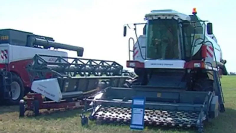 В Кызылорде собрали рекордный урожай риса