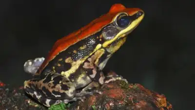 Zakon.kz, фото - Новости Zakon.kz от 19.04.2017 17:39