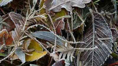 Zakon.kz, фото - Новости Zakon.kz от 17.10.2015 22:52