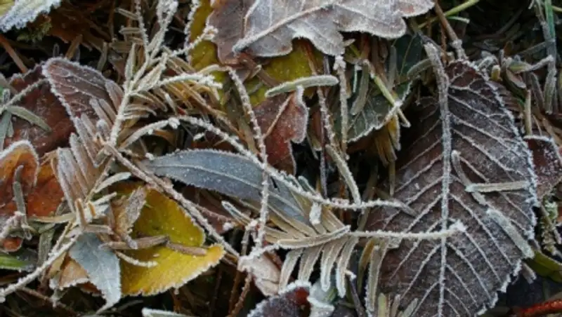 Штормовое предупреждение объявлено в нескольких регионах РК