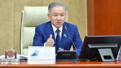 Пресс-служба Мажилиса, фото - Новости Zakon.kz от 18.11.2020 16:43