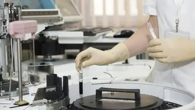 Pixabay, фото - Новости Zakon.kz от 11.04.2020 23:37