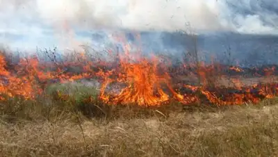 Zakon.kz, фото - Новости Zakon.kz от 05.09.2017 23:14