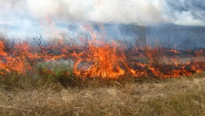 В Астане участились случаи возгорания сухостоя и камыша