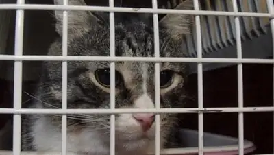 Zakon.kz, фото - Новости Zakon.kz от 20.06.2015 17:24