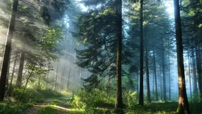 Zakon.kz, фото - Новости Zakon.kz от 09.08.2015 06:20