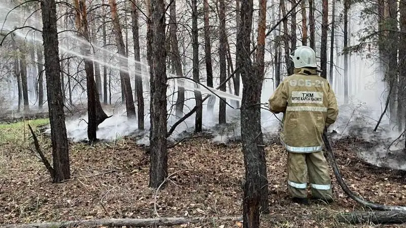 Уже 10 вертолетов задействовали в тушении крупного лесного пожара в Абайской области, фото - Новости Zakon.kz от 25.05.2023 22:50