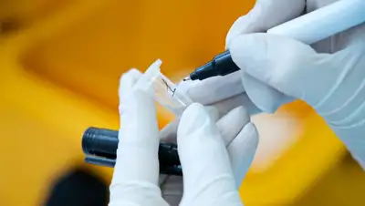 Коронавирус в Казахстане 8 ноября, фото - Новости Zakon.kz от 08.11.2022 08:48