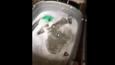 кадр из видео, фото - Новости Zakon.kz от 09.04.2020 10:59