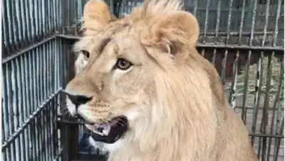 instagram, фото - Новости Zakon.kz от 17.07.2020 11:02