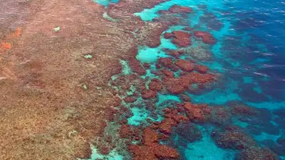 красота, вид сверху, фото - Новости Zakon.kz от 14.12.2022 16:10