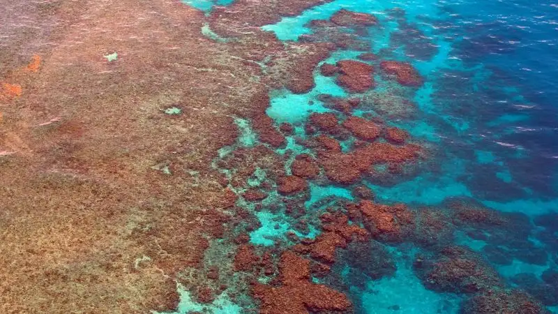 Большой Барьерный риф показали из космоса