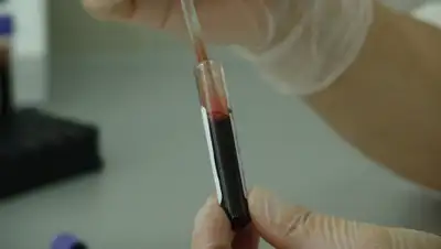 pxhere.com, фото - Новости Zakon.kz от 02.04.2020 20:20