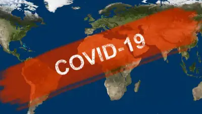 poisknews, фото - Новости Zakon.kz от 18.04.2020 08:28