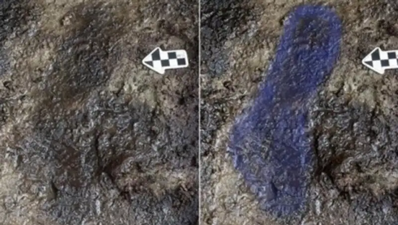 На западе Канады обнаружены человеческие следы возрастом более 13 тыс. лет