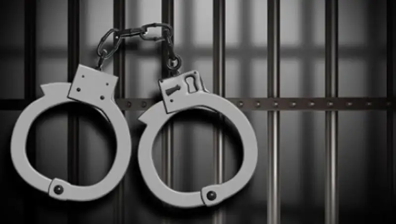 Полиция Алматы раскрыла разбойное нападение на бизнесмена около ТРЦ "Мега"