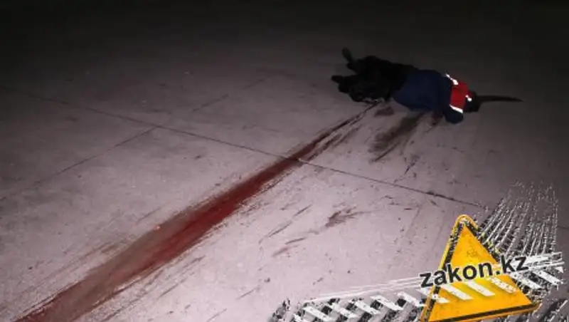 Мощным ударом женщину сбила насмерть неизвестная машина под Алматы