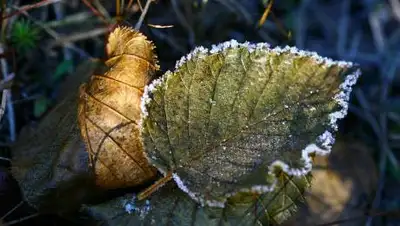 pixabay.com, фото - Новости Zakon.kz от 23.09.2021 18:44