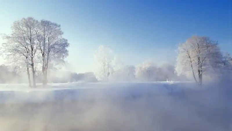 В СКО отменили занятия для школьников и студентов 1-2 курсов 24 января