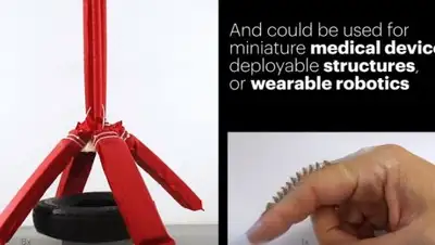 Фото: скриншот, фото - Новости Zakon.kz от 29.11.2017 08:16