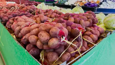 пресс-служба, фото - Новости Zakon.kz от 10.07.2020 19:38