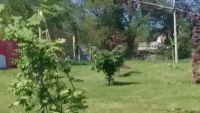 кадр видео, фото - Новости Zakon.kz от 21.05.2018 12:00