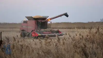 zakon.kz/Павел Михеев, фото - Новости Zakon.kz от 26.10.2021 12:00