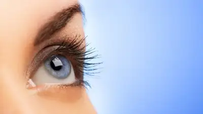 из открытых источников, фото - Новости Zakon.kz от 01.12.2018 11:15