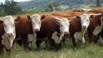 Zakon.kz, фото - Новости Zakon.kz от 17.06.2015 02:52