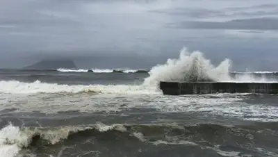 Zakon.kz, фото - Новости Zakon.kz от 11.07.2016 18:16