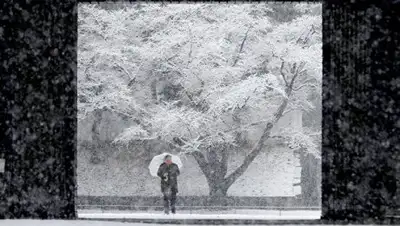 Фото: © REUTERS / Kim Kyung-Hoon, фото - Новости Zakon.kz от 23.01.2018 08:40